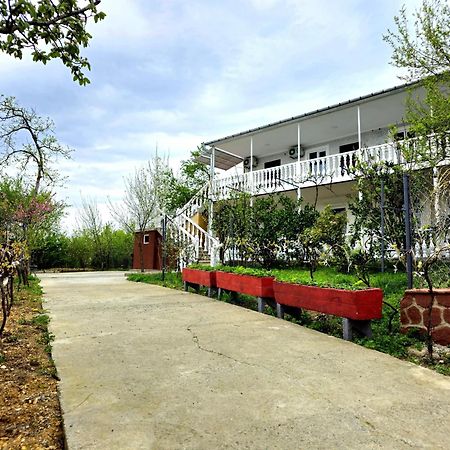 Hilltop Guest House Kutaisi Exterior photo